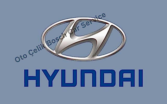 Ankara Hyundai Servisi