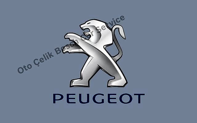 Ankara Peugeot Servisi